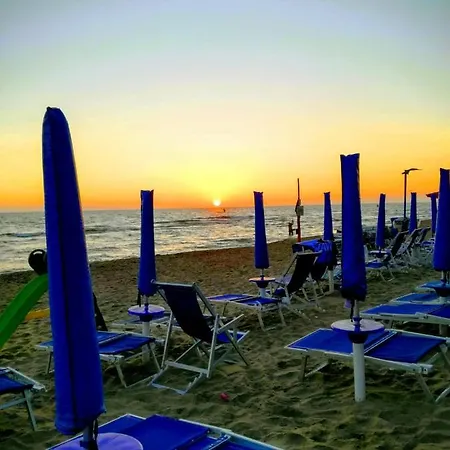 Greenhouse_anzio